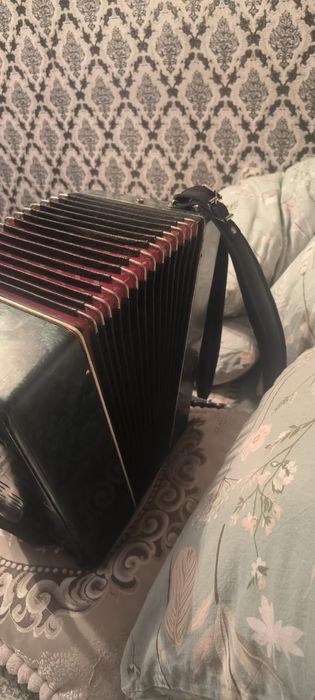 Гармонь Шуйская.. Чайка.