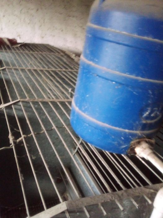 Quyon uchun qafaslar bor. Kletka. Zamonaviy quyon qafasi. 3 mln so‘m