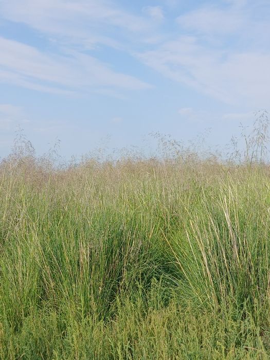 ФАЗЕНДА сатылады