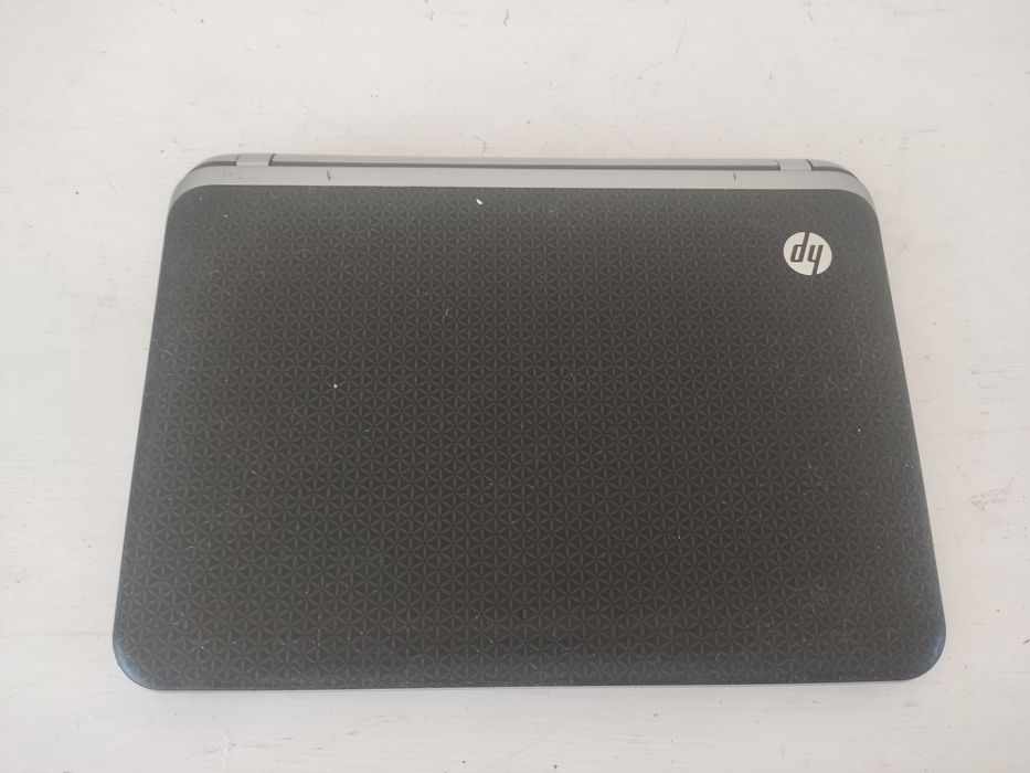 HP Pavilion dm1.