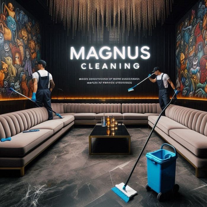 Servicii profesionale de curățenie canapele, fotolii, scaune, saltele