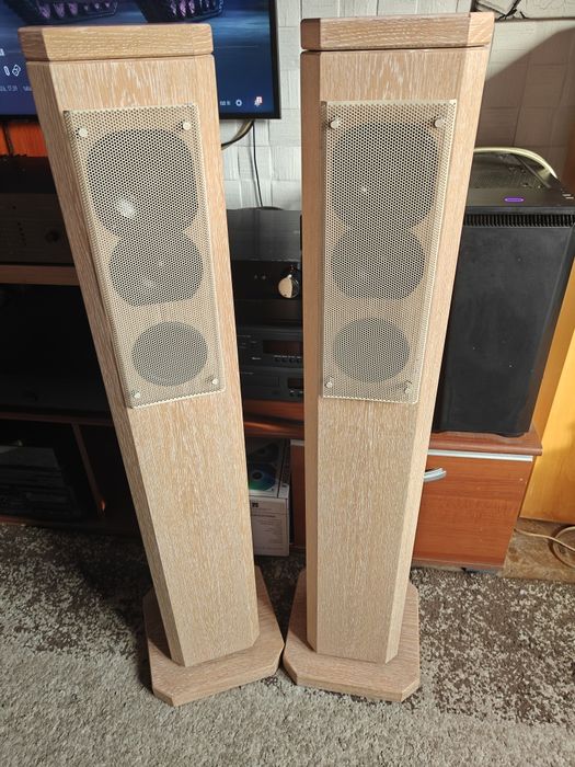 T+A  pulsar tas 1200e ( schimb) boxe podea , super sunet