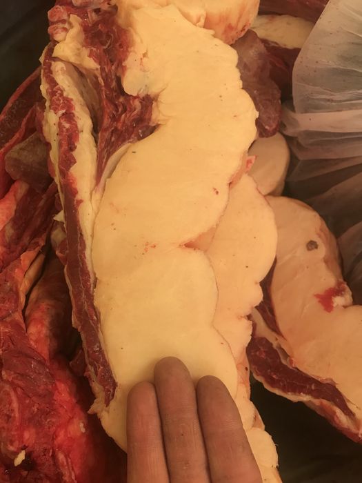 Мясо Конины и  Говядины Аяктап всегда свежее