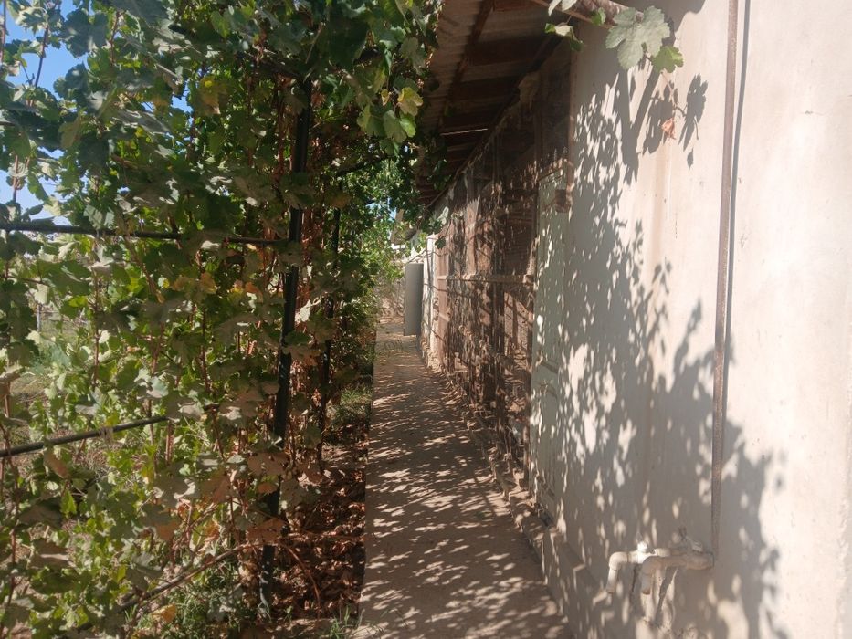 Янгиарик туман Вакиллар МФЙ да жойлашган 30 сотих ховли жой хамда