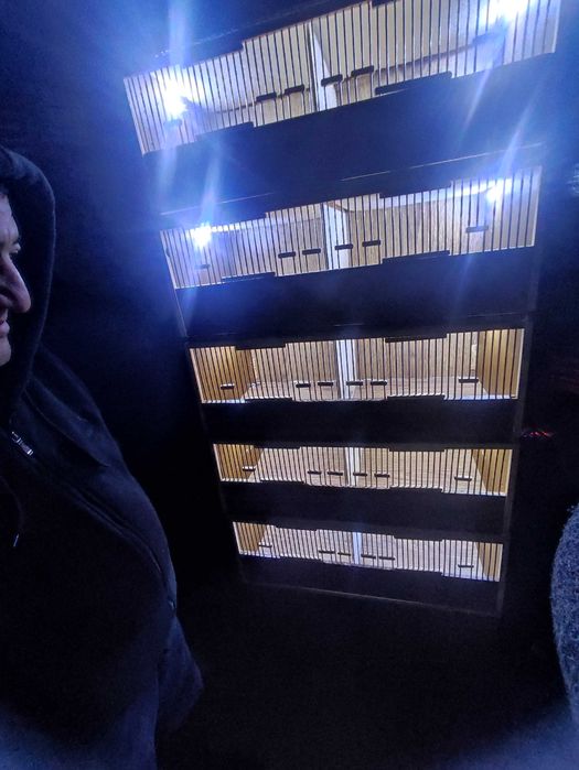 Bedana va boshqa qushlar uchun qafas