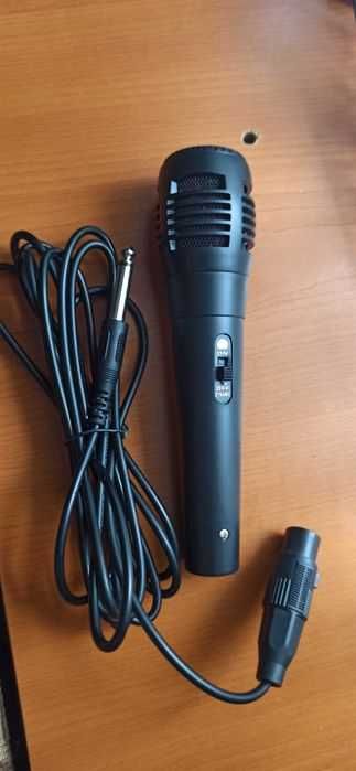 Radio pentru posturi radio + microfon bonus