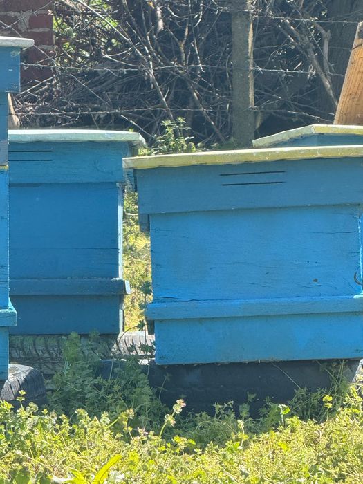 Кошери 10 рамкови Дадан блат/втора ръка-запазени/