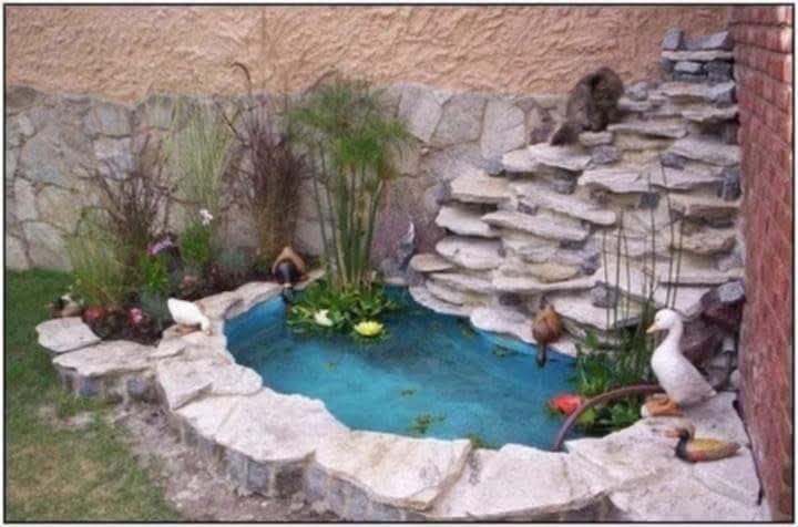 Vand transport si montez piatra/plante