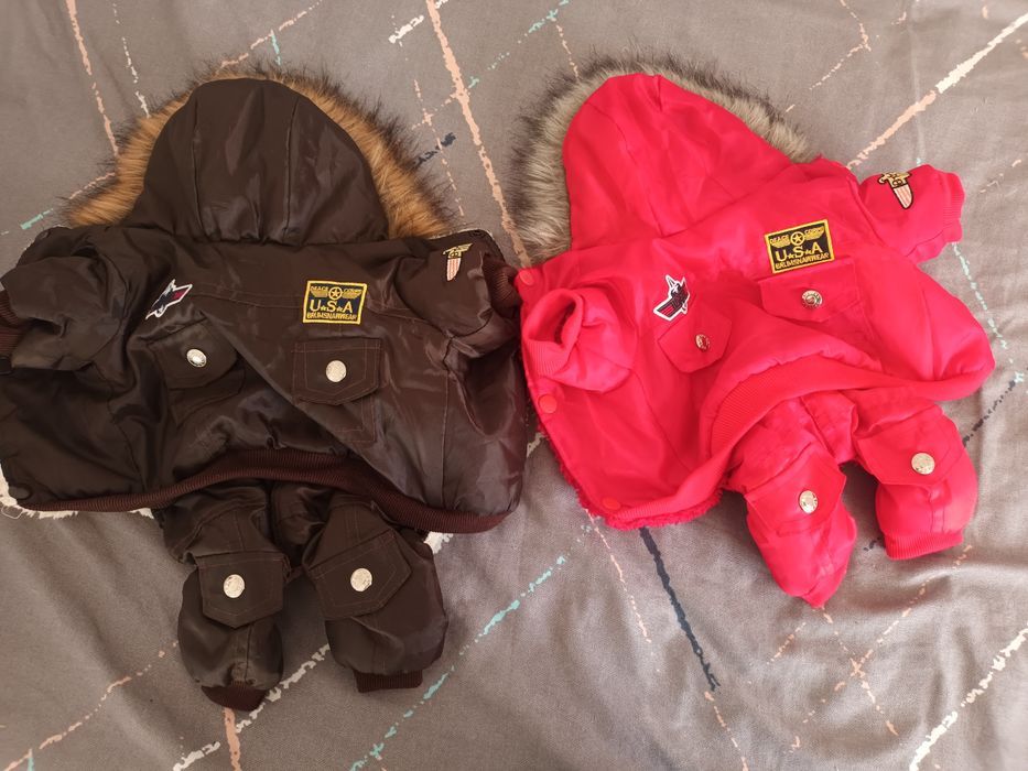 2 geci pentru căței/pisici