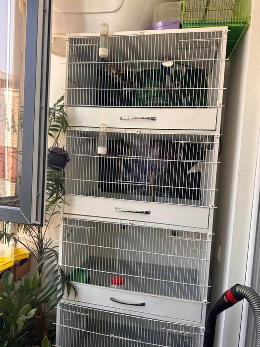 Продаётся бокс-шкаф с четырьмя секциями