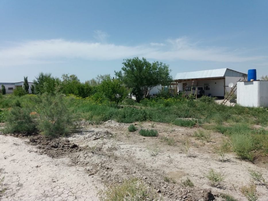 Фазенда сатылады!