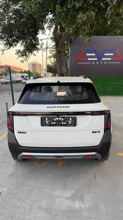 Dongfeng NAMMI 06