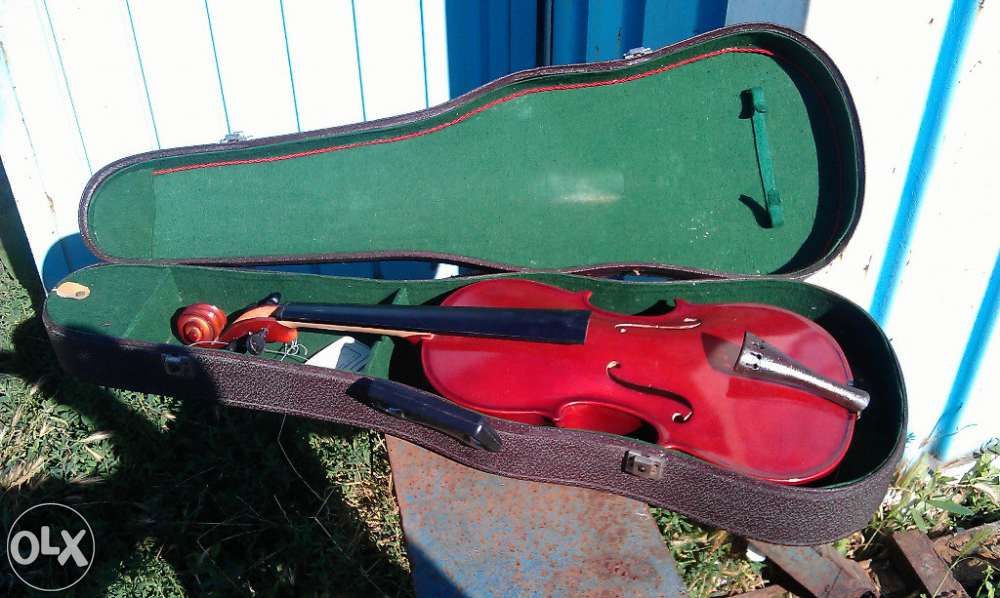 Viola fabricatie reghin