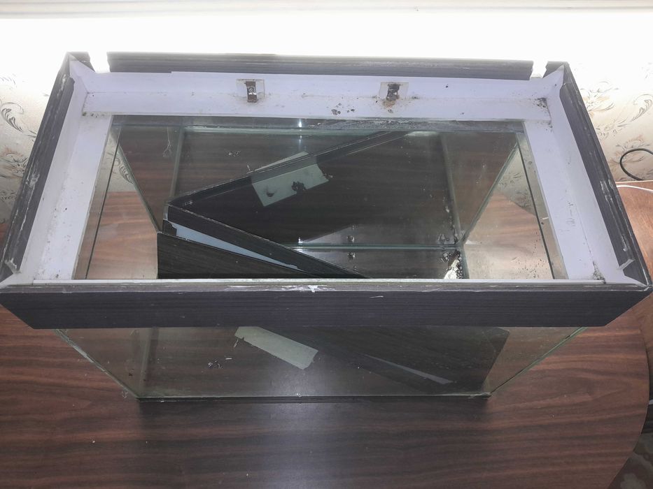 Отдадим аквариум.