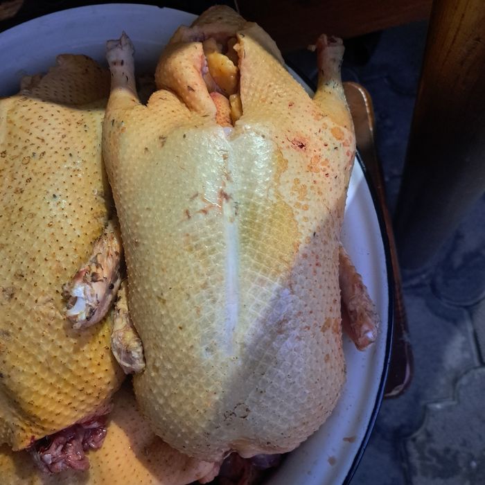 Продам домашних гусей и уток