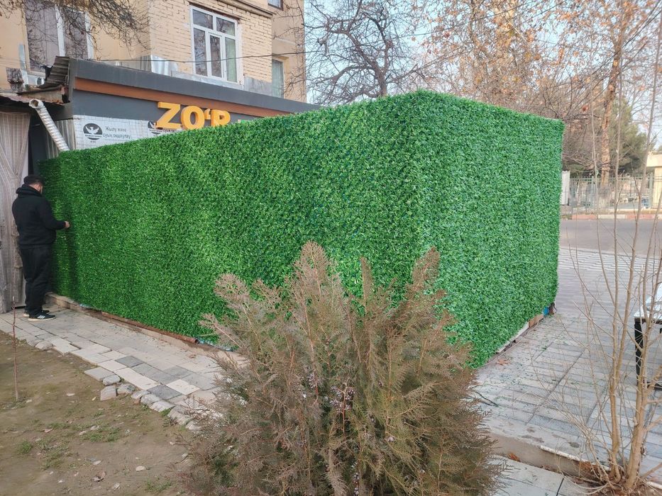 Suniy gazon va devorlar