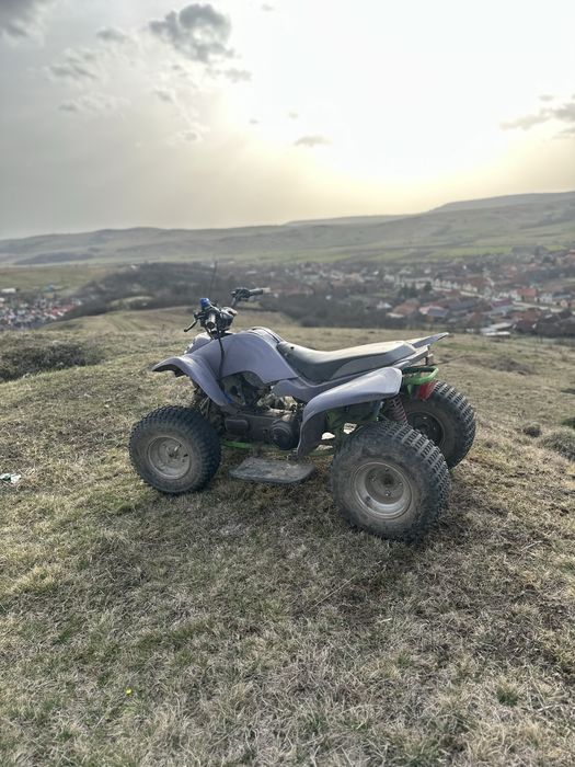 Atv 150cc power