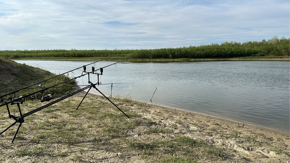Rod pod Avid Carp Lok Down Altitude+ lansete Prologic+avertizori Prolo