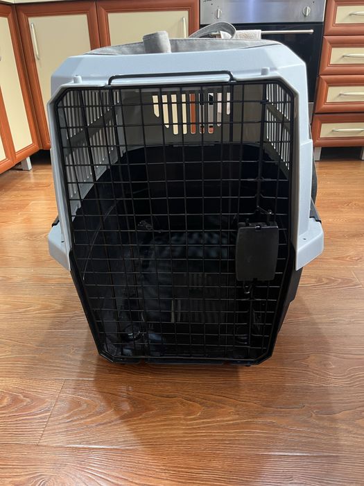 контейнер для животных