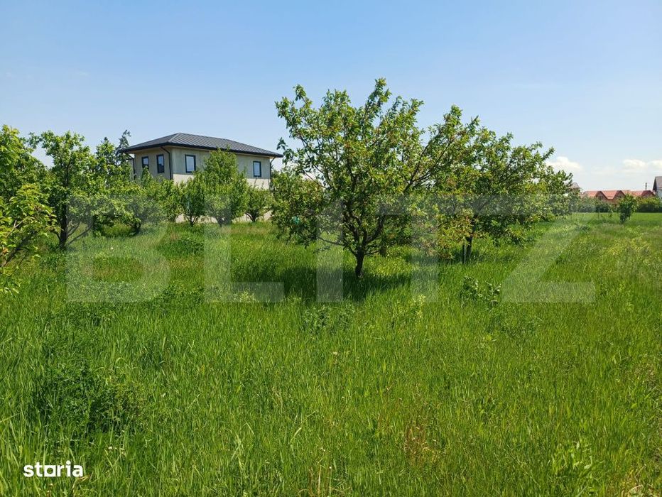 Teren de vanzare intravilan, 72 ari, zona Salcea