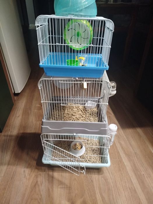 Хамяклар оиласи/Семья Сирийских Хомяков