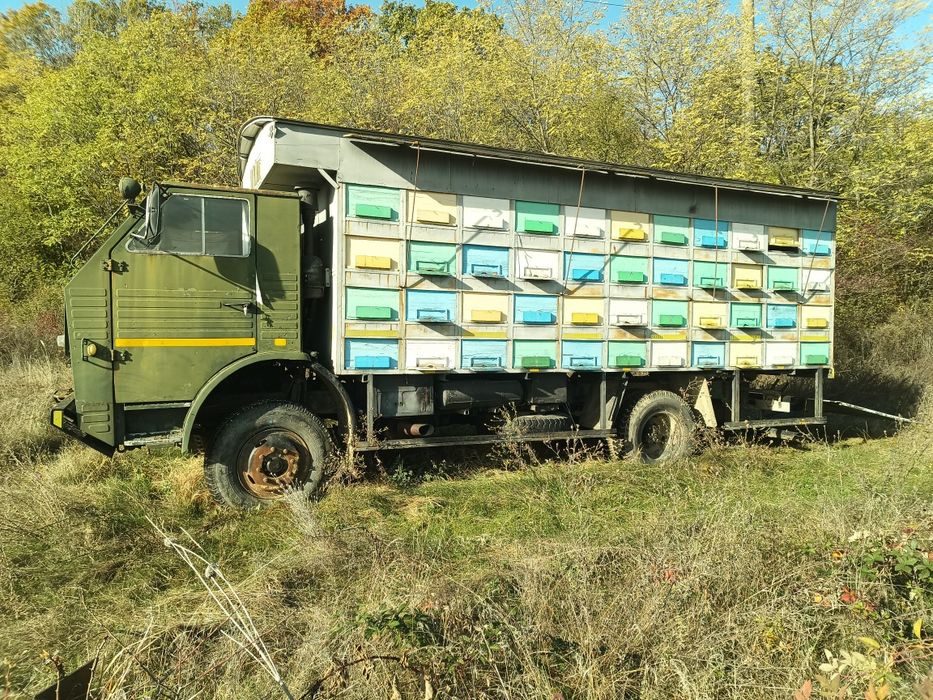Camion armata,apicol, 4x4
