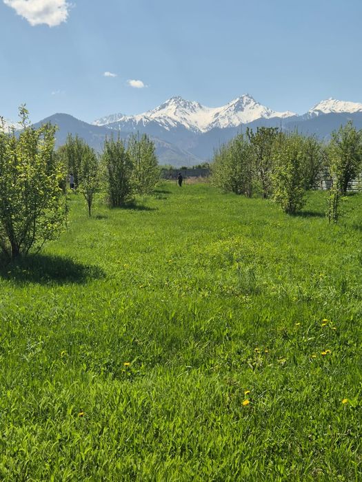 Продам участок 74 соток