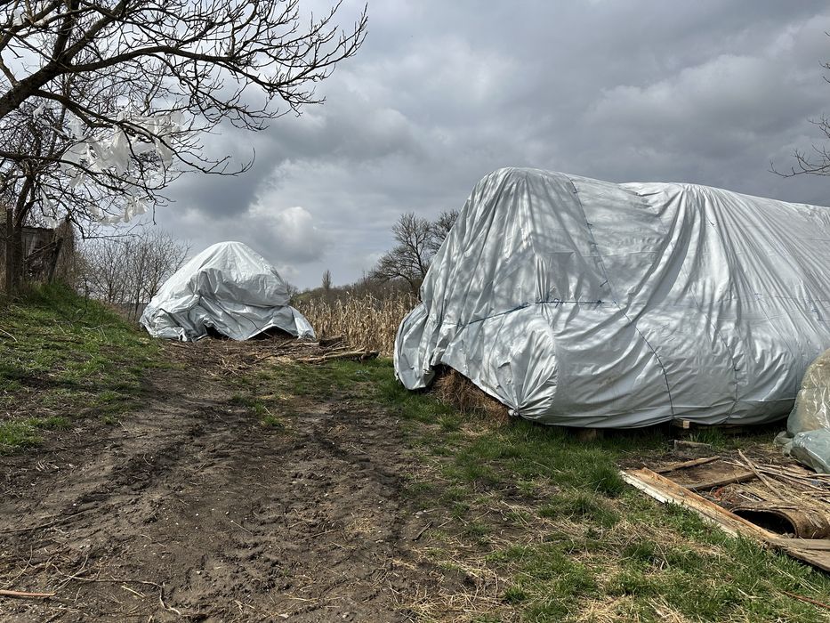 Baloti lucerna 250 ron