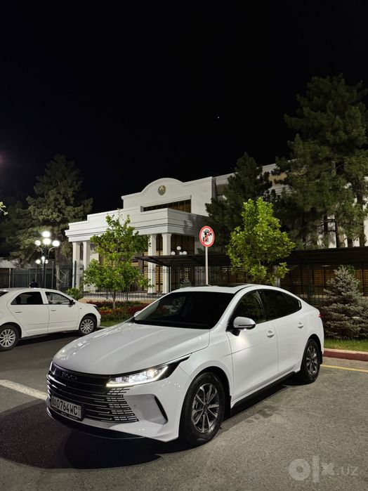 BYD chazor 55km 2 pozitiya
