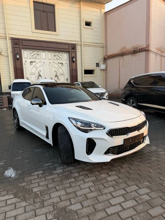 Kia Stinger 2023 Kraska Tozza Ideal