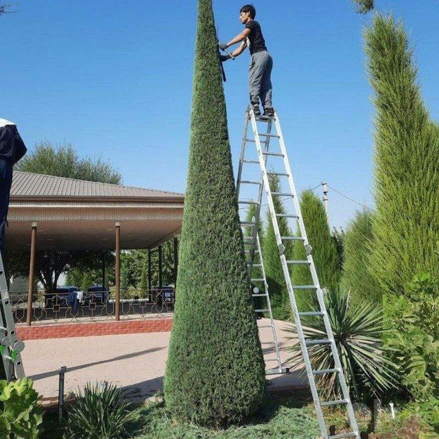 Archa va gullarga shakli berish
