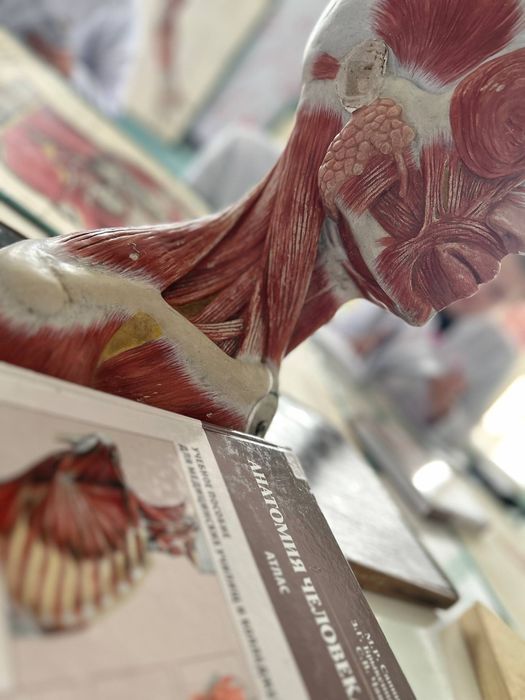 Репетитор по Анатомии и Общей патологии