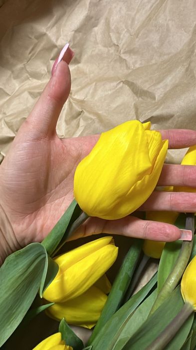 Продаются тюльпаны