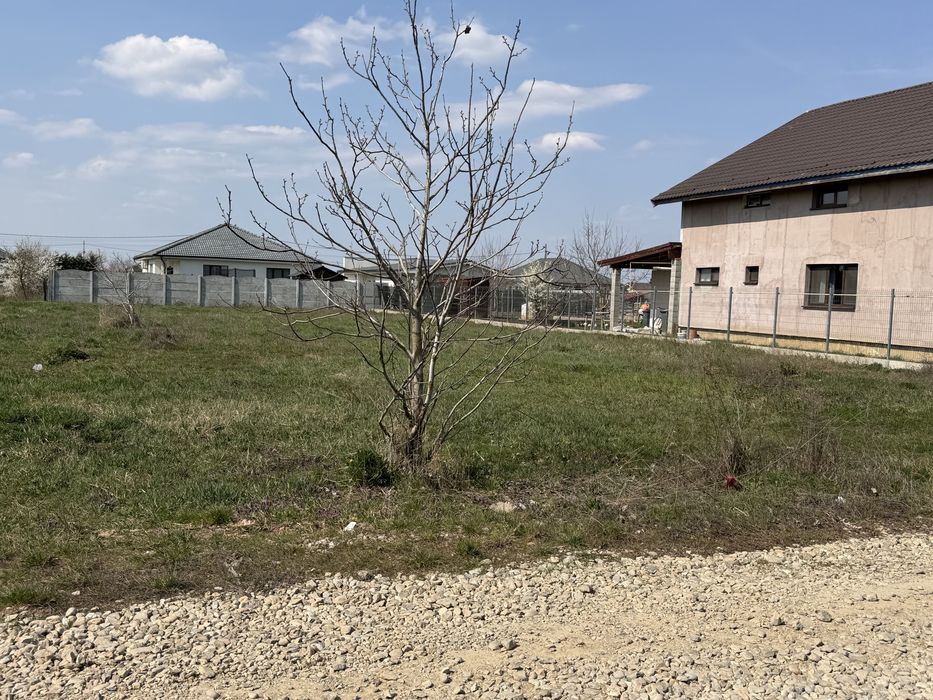Teren intravilan 1000mp Santandrei str Macesului