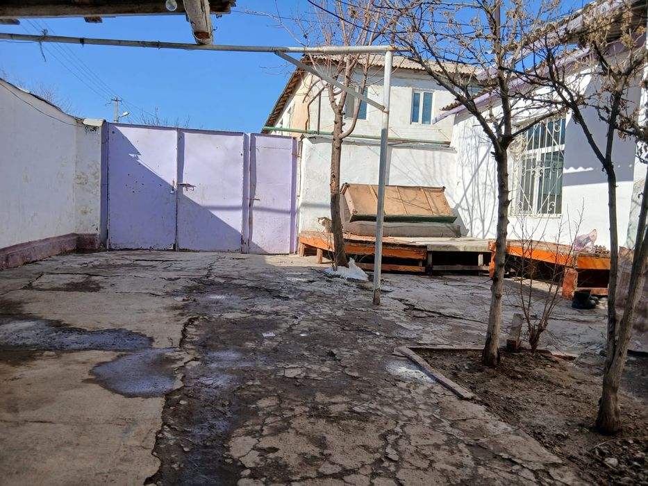 Сарыағаш жылгарадок