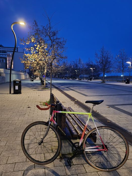 Bicicleta single speed fixie