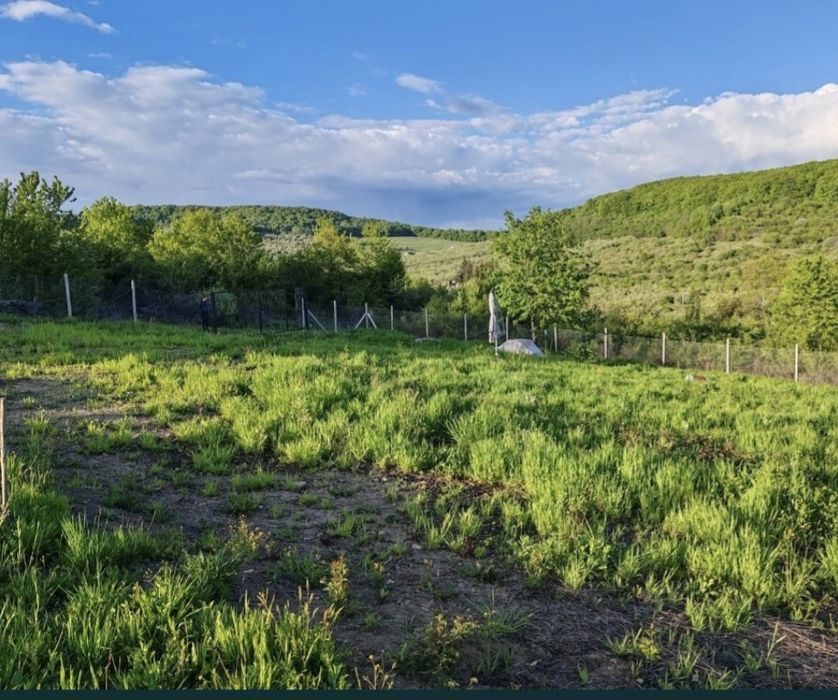 Teren extravilan 10 arii (1000 mp) Bistrita , Dealul Targului