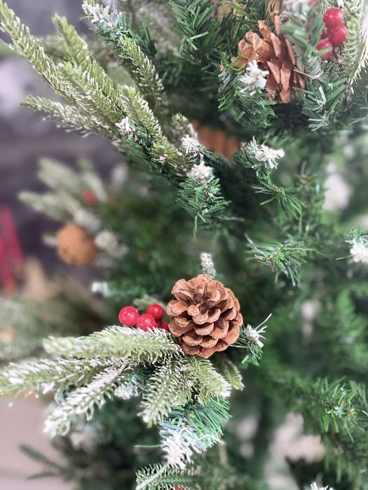 Продам красивую ёлку!