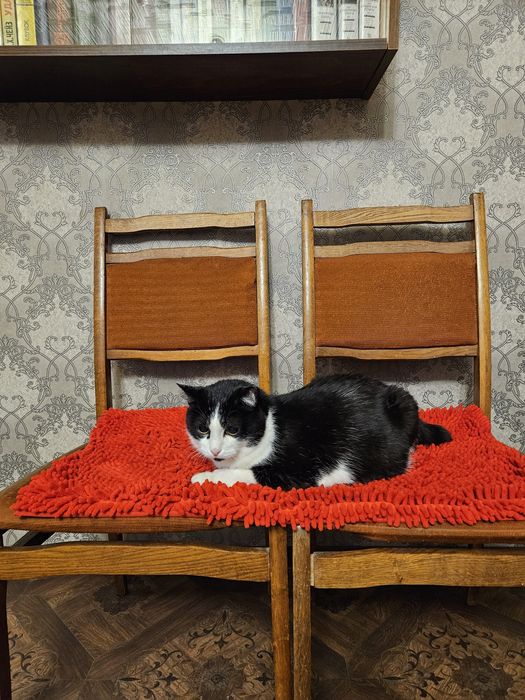 Отдам в хорошие руки