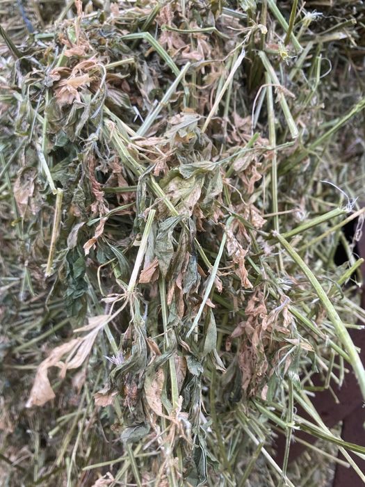 Baloti de lucerna 25kg livrez acasa calitate foarte buna