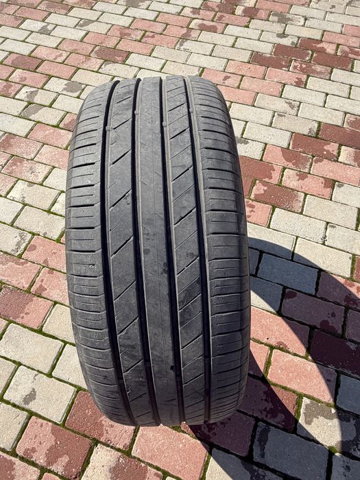 Шины жазғы дөңнелек