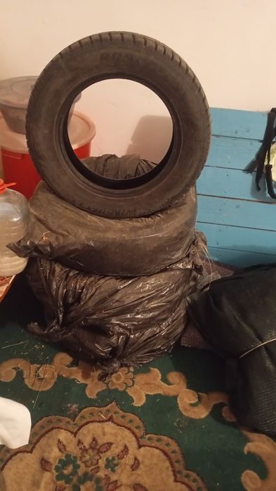 Зимние шины шыпованые