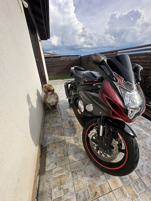 Suzuki gsxr 2011