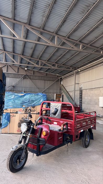 Трицикл муравей электрический