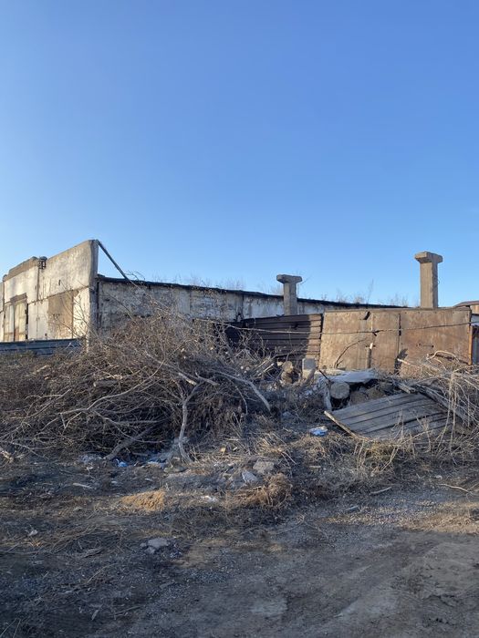 Спил деревьев. Подрезка веток