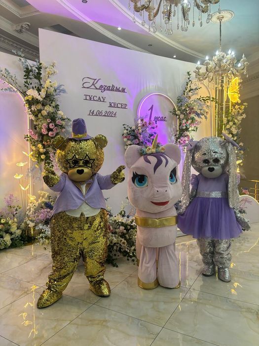 Костюм аниматоры