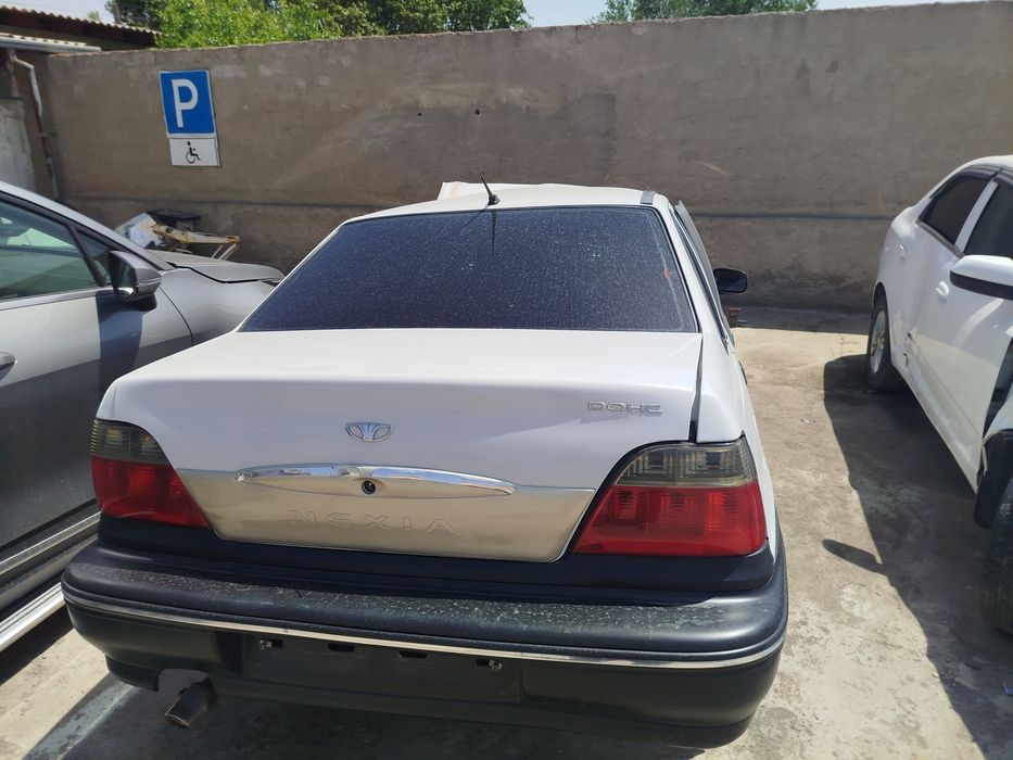 Аврийний нексия1
