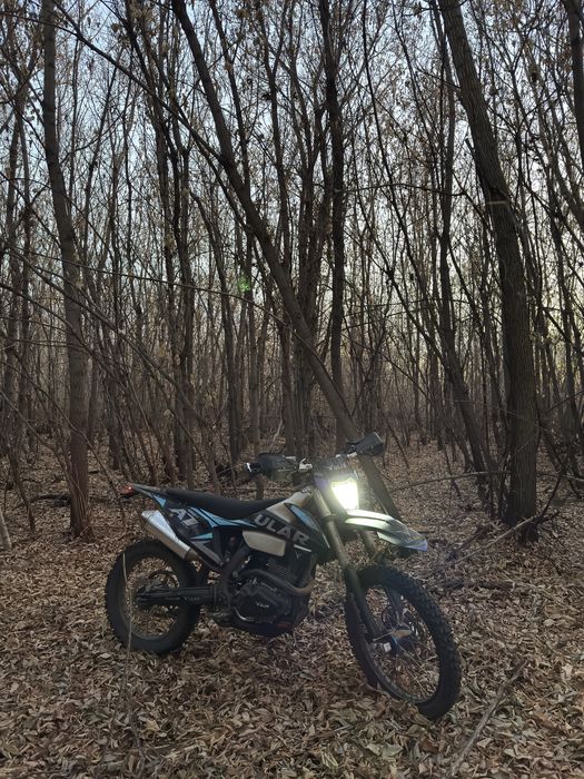 Эндуро Ular A7 250