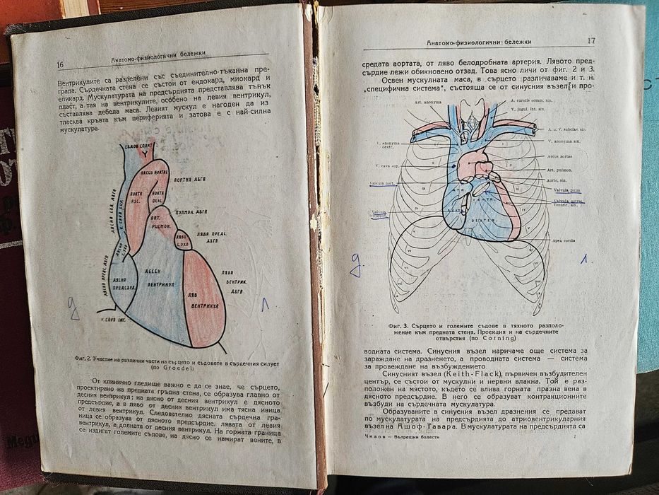 Медицинска литература: стари учебници, книги, Визуалният човек