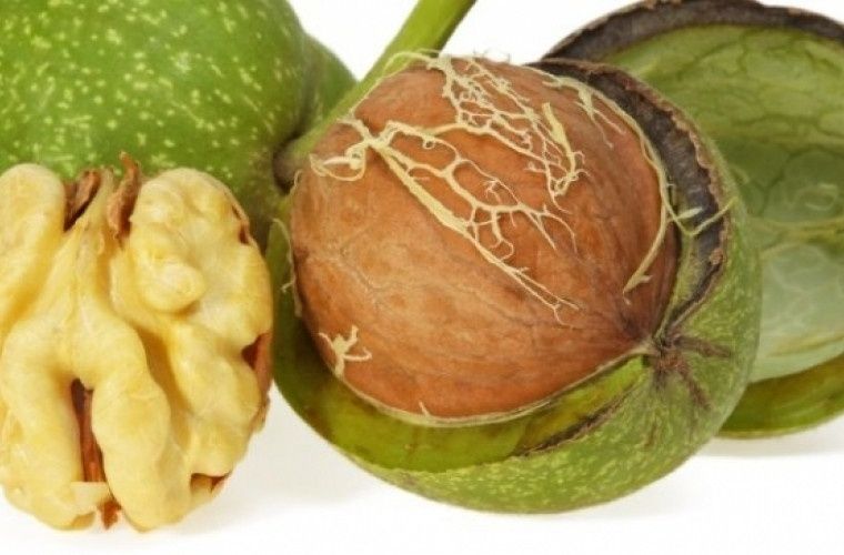 Nuci verzi producție anul 2025 deosebit de mare